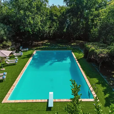 Dolce Collina 10, Emma Villa Cesena